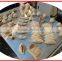 TY-503G Dumpling Machine