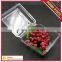 food grade plastic PET fruit and food tray