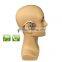 bone conduction bluetooth neckband sport headphones wireless