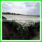 High quality agriculture used green knitted anti hail net with low price
