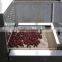 High Quakity Fruit Dryer Machine With Best Service