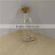 custom glass bottle with wood cork,small glass bottle