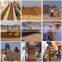 WT1-20 clay tiles making machine Interlock Block Making Machine