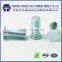 Factory hot sale standard Rohs blue zinc plating compresed rivet screw