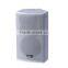 active speaker