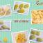 NEW 3D Snack Food Production Line with the Single-screw Extruder