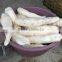 High quality stainless steel cassava peeler washer machine