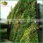 Wholesale large artificial green wall system for home garden