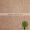 veneer sheets okoume veneer wood veneer sheet