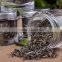 Bottled yunnan special scented jasmine green tea