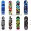 Pro quality 80kgs loading adult skateboard with handle