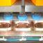 Soap Mould