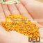 2016 fresh newest fresh raw pine pollen