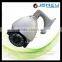 2 Mega pixels IP Speed dome ptz camera with IR Cut filter