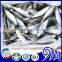 frozen small eye horse mackerel round scad fish Decapterus Maruadsi size 80-100 100-120 120-140