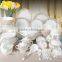 62pcs Bone china Dinner set/dinnerware sets