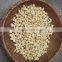 Chain Manufactured CE certificated high quality belt type garlic sorting machine