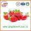 New crop All star 15-25mm High quality Fresh Strawberry