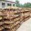VIETNAM FRESH GINGER