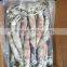 Todarodes pacificus squid tentacle tube whole round frozen