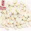Chinese Best Price White Pumpkin Seeds