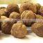 Indian Treated Teak forestry tree Seeds ( Tectona grandis )Swagon Rajasthan Asia