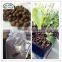 LECA Expanded Clay Pebble for Horticulture Growing Bed Media