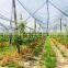 HDPE orchard apple tree anti hail net, Hail proof Anti-hail net for vineyard