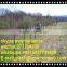 South Africa Field Fence, Farm Fencing