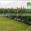 High Tunnel Greenhouse Tunnel Galvanized Tube Single or Multi Span Film Greenhouse Low Cost for Farming