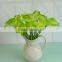 PU blue artificial callas