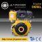 Twin Cylinder Diesel Engine
