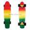 HFCW05 wholesale New Product fish skateboard PP plastic four wheel skateboard