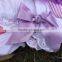 2015 new baby infant girls bloomer baby cupcake bloomer birthday bloomer WHOLESALE