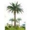 Artificial Date Palm Tree