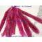 fur leather garment accessories raccoon fur collars tops