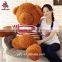 soft plush teddy bears with DIY knit strip sweater