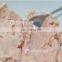 Automatic Chicken Poultry  Meatball Meat Bone Separating Machine