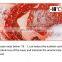 Meat grinder frozen duck processing equipment frozen meat slicing machine from China supplier
