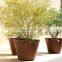 Ellipse Planter Corten Flower Pot Corten Steel Planter