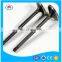 motorcycle spare parts engine valve for Bajaj CNG Splendor CT100 Cruz Victor TVS star