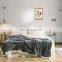 Fashion Simple Family Blanket Nap Cover 100%polyester Blanket Bed