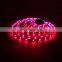 App controlled full kit music sync voice control google home Alexa Tuya 5050 5M 10M wifi bluetooth smart RGB LED strip Light