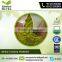 A Grade Customized Wheat Grass Powder for Health Benefits from Reliable Dealer