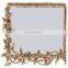 Antique fancy photo frames