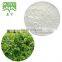 Vine Tea Extract Powder 98% Dihydromyricetin Powder