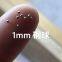 1mm &1.2mm&1.3mm&1.5mm&1.588mm Aisi52100 Bearing Steel Ball
