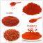 Sweet Paprika Powder 200asta