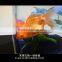 Newly design modern design fish tank/aquarium with LED fountain with CE