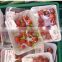 China supply cheap water-absorbing frozen food tray